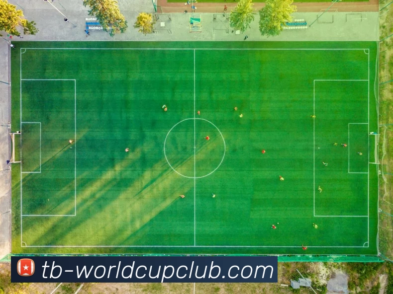 足球赛事投注平台生态图